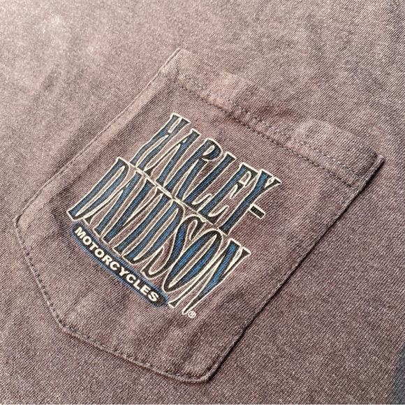 2001 Harley-Davidson Traverse City - Picture 4 of 6